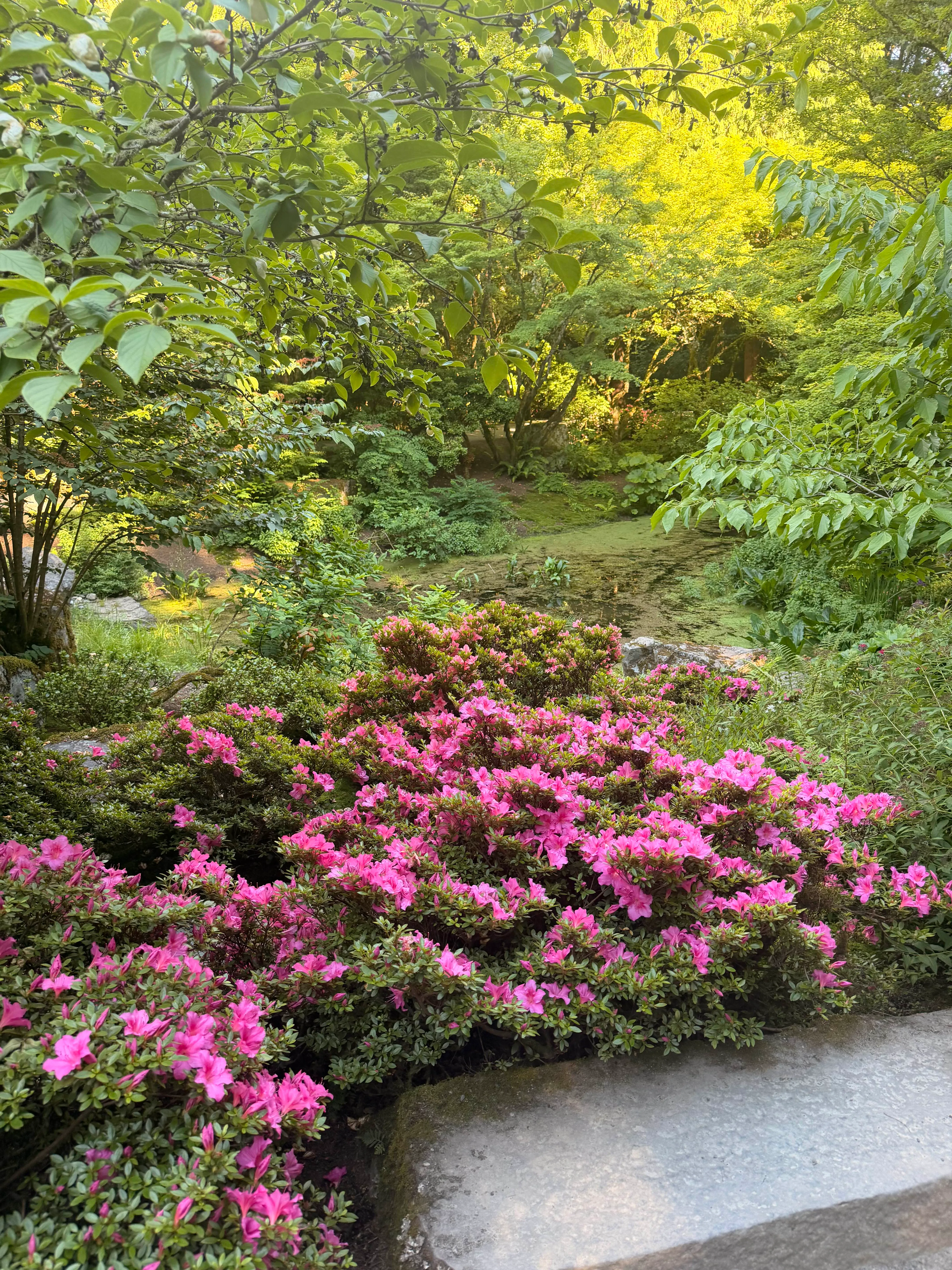 botanical gardden